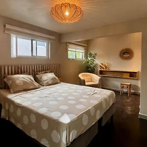 Apartamento Studiocuracao Grote Berg